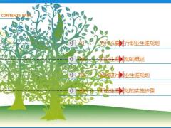 职业生涯规划概述实施步骤51页.pptx