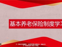 基本养老保险制度概念问题分析发展趋势回顾与总结22页.pptx