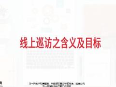 银保线上巡访之背景含义及目标15页.pptx