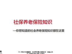 社保养老保险知识17页.pptx