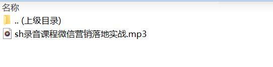 录音课程微信营销落地实战.rar