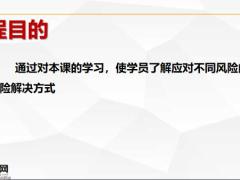 保险阶梯图31页.pptx