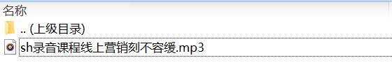 录音课程线上营销刻不容缓.rar