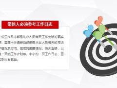 带新人必须参考工作日志15页.pptx
