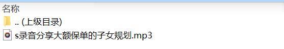 录音分享大额保单的子女规划.rar