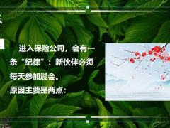 保险新人为什么要参加早会13页.pptx
