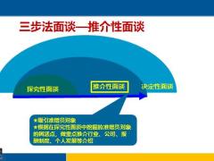 增員選擇與面談系統(tǒng)課程二推介性面談專題17頁.pptx