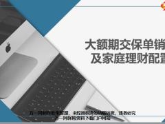 大额期交销售及家庭财产配置34页.pptx