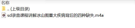 录音课程讲解冰山图重大疾病背后的四种缺失.rar