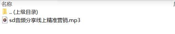 音频分享线上精准营销.rar