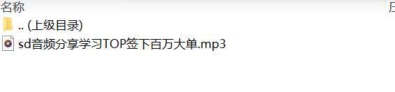 音频分享学习TOP签下百万大单.rar