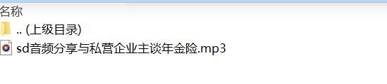 音频分享与私营企业主谈年金险.rar