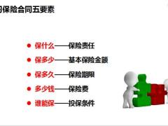保险相关实务合同知识19页.pptx