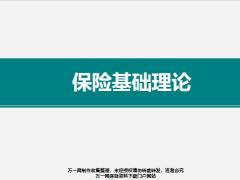 保險的起源基礎(chǔ)知識24頁.pptx