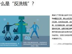 保险新人职训之反洗钱基础知识风险渠道法律法规主要措施案件分析39页.pptx