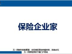 保险企业家的定义责任工作标准48页.pptx