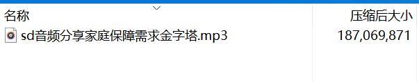 音频分享家庭保障需求金字塔.rar
