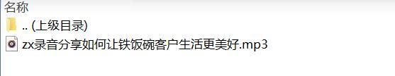 录音分享6如何让铁饭碗客户生活更美好.rar