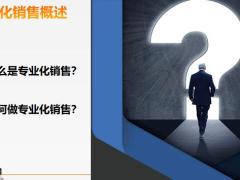 专业化销售流程介绍46页.pptx