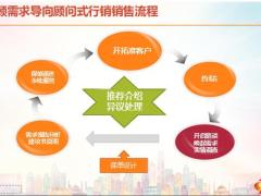 NBS专业销售需求唤醒概述流程示范演练41页.pptx