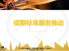 续期标准服务推动打通理念面壁思过破冰行动服务销售23页.pptx