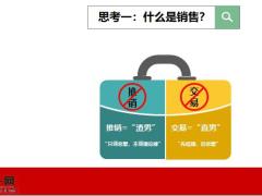 专业化销售概述流程五大步骤学习模式销售前准备15页.pptx