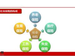 社保与商保上社会保险基础知识25页.pptx