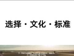 引进的动摇点筹备成功要素高经引进流程27页.pptx