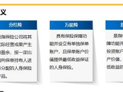 分红险万能险和投连险的区别16页.pptx