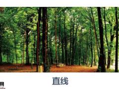 保险职业培训师特训营54页.pptx