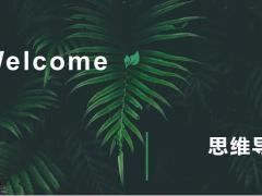 保险新人培训高效学习技巧42页.pptx
