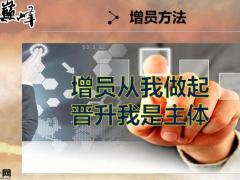 保险公司专业增员系统好系统成就大团队92页.pptx