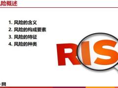 保险基础知识一风险与风险管理含备注27页.pptx