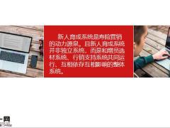 新人素质模型1314新人育成体系介绍课程简介15页.pptx