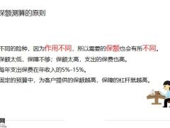 保额缺口的计算方法与工具案例分析课堂作业16页.pptx