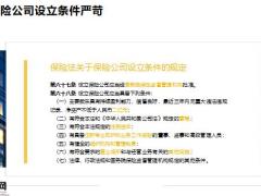 保险公司的十大安全机制22页.pptx