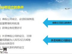 保险行业寿险公司的形式概述13页.pptx