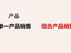 保险新人培训家庭保障检视31页.pptx