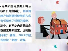 民法典保險(xiǎn)解析繼承權(quán)歸屬誰23頁.pptx