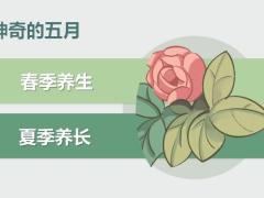 神奇的五月養(yǎng)生那些事兒17頁.pptx