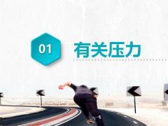 压力与情绪管理38页.pptx