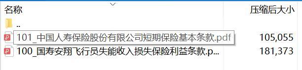 国寿安翔飞行员失能收入损失保险条款.rar
