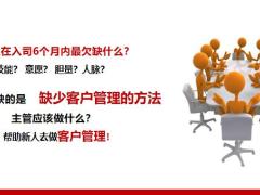 主管操作要点客户管理基本逻辑新人客户管理解析12页.pptx