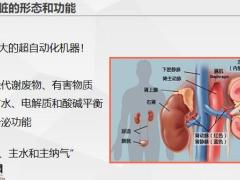 早會專題惡性腫瘤終末期腎病及腎移植20頁.pptx