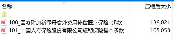 国寿附加新绿舟意外费用补偿医疗保险B款条款.rar