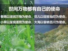 保险新人培训小专题您的保单有我服务13页.pptx