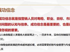 外勤培训中高端客户的开拓流程要点31页.pptx