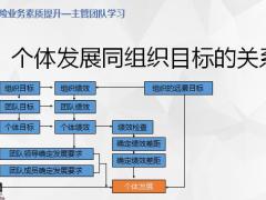 壽險業(yè)務(wù)素質(zhì)提升主管團隊學習16頁.pptx