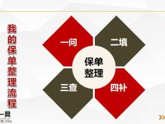 保单整理流程常见问题总结17页.pptx