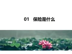 如何通过保险规划人生35页.pptx